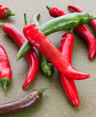 Garden Salsa Hot Pepper